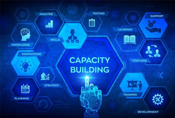 Capacity building